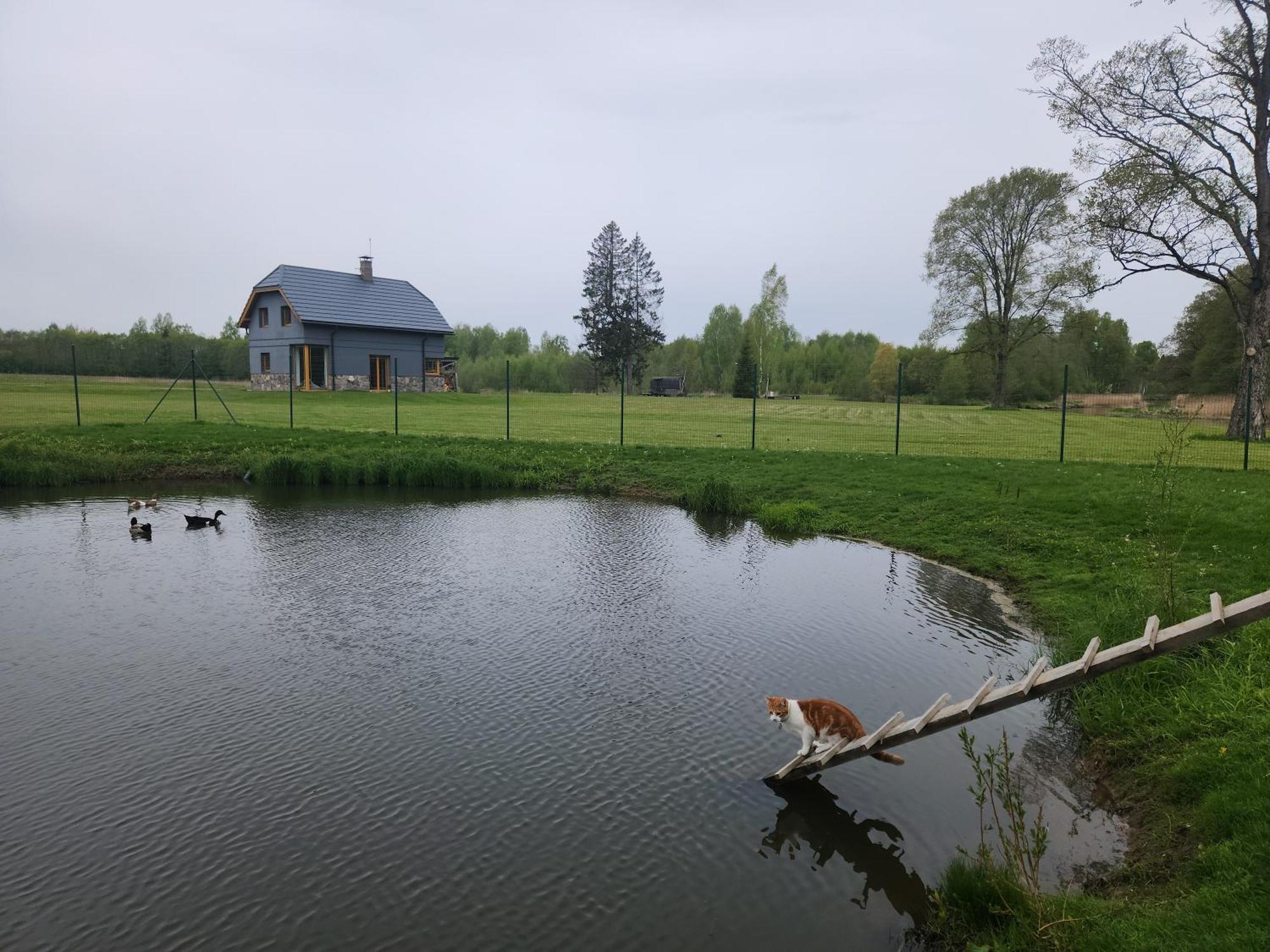Stadelnieki Smaltani Exteriör bild